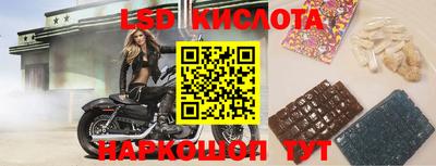 ПСИЛОЦИБИНОВЫЕ ГРИБЫ Гатчина
