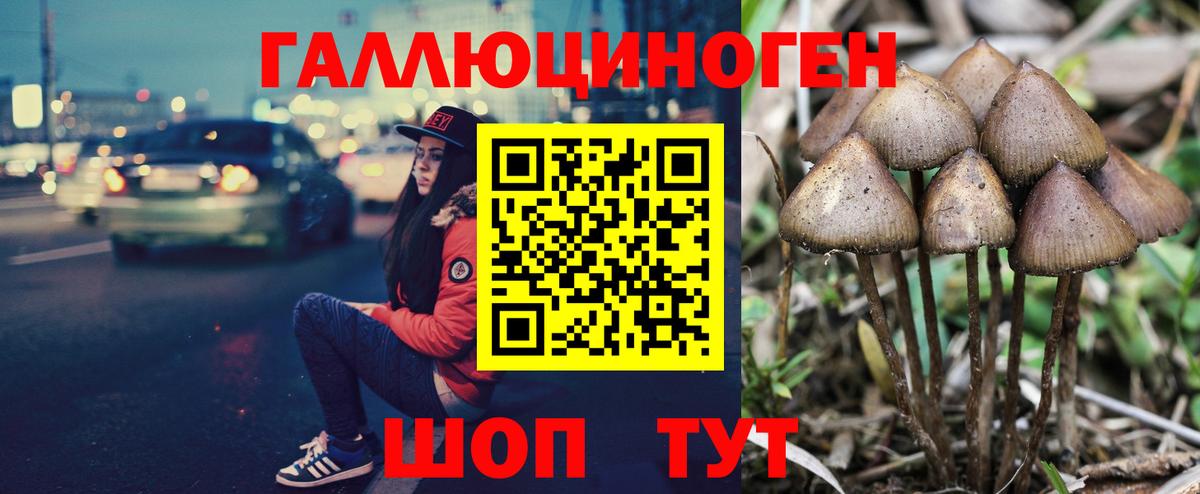 Галлюциногенные грибы прущие грибы  купить закладку  Троицк  Вход с VPN 